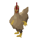 Evil Chicken
